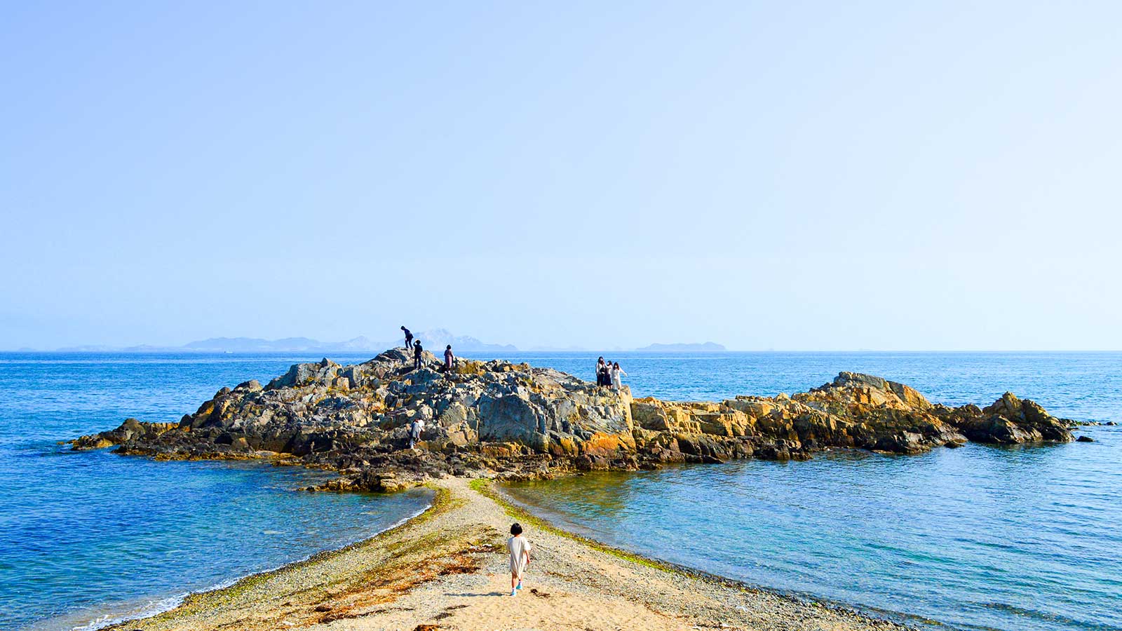 Museum Wedding ミュージアム ウエディング