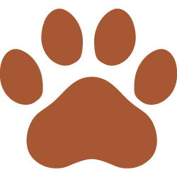 ワンちゃんと楽しめる桃井ミュージアム