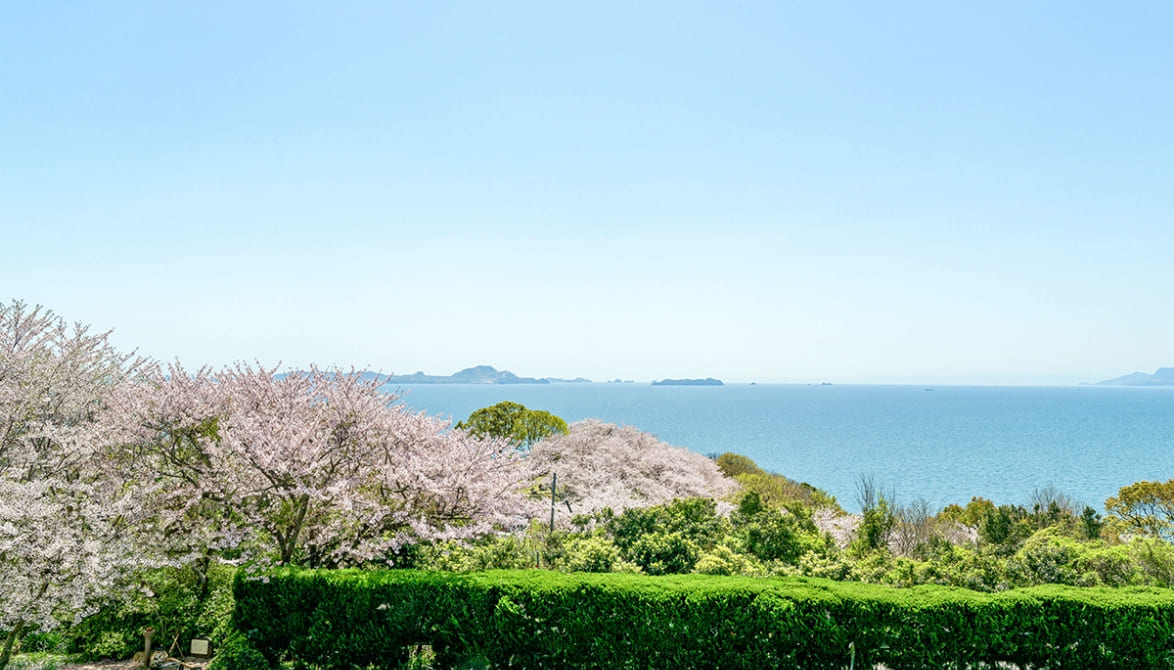 桃井ミュージアムは赤穗御崎の四季折々の景色を一望できる高台にございます。日本夕日百景に選ばれた景色は雲火焼の交様を連想させます。桃井ミュージアムの2階からの眺めはまさに絶景。心行くまでご堪能ください。