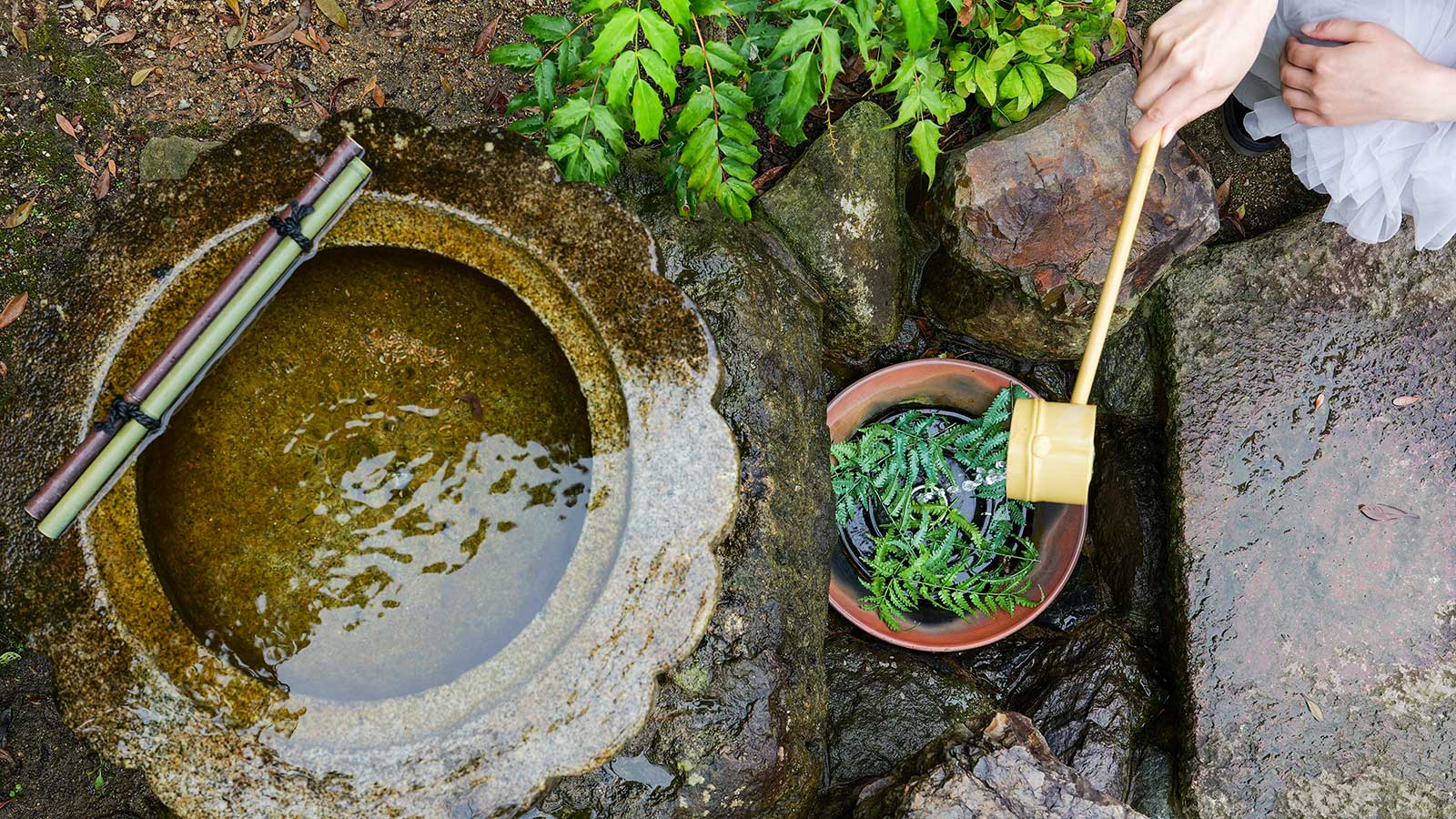 Healing 瑶泉院(ようぜんいん)ゆかりの灯篭と小堀遠州写しの水琴窟